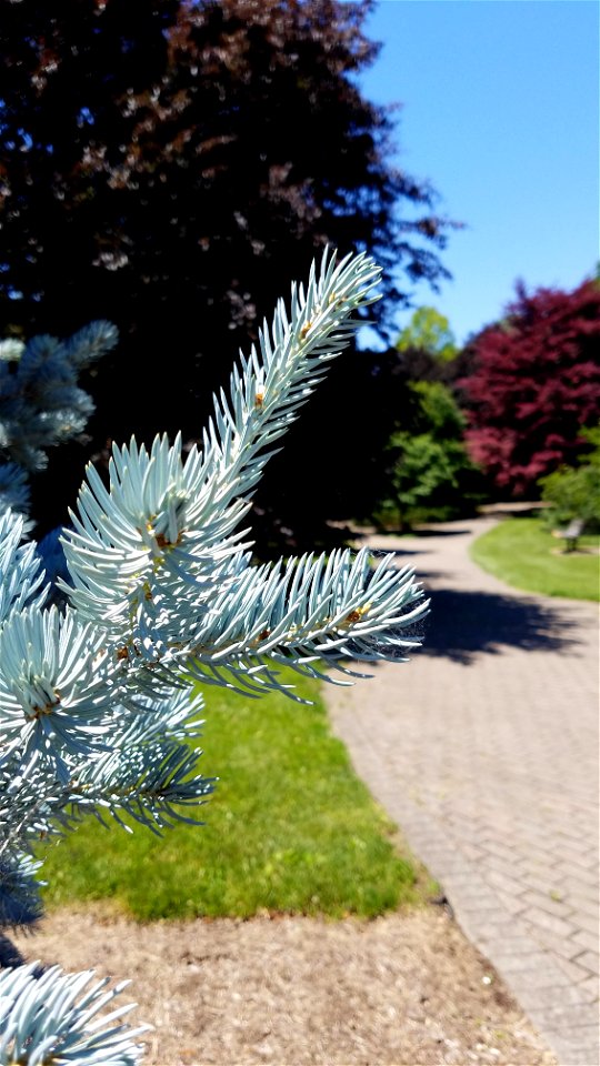 Chadwick Arboretum and Learning Gardens
The Ohio State University

Columbus, Ohio