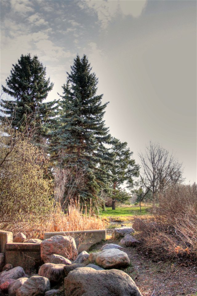 A watercourse in Hawrelak Park, Edmonton, Alberta. Canada.