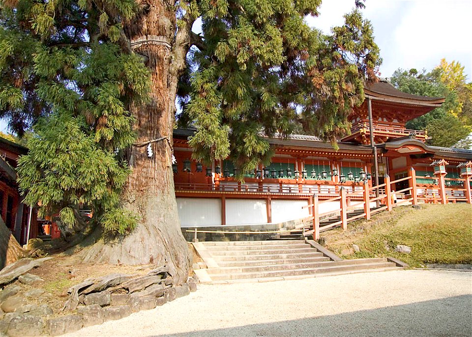 Kasuga Shrine Nara Japan Shinto shrine I took this photo.