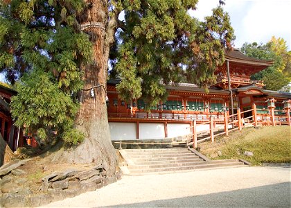 Kasuga Shrine Nara Japan Shinto shrine I took this photo.