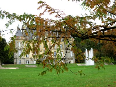 Foliage of Metasequoia glyptostroboides of the Arboretum of the la Roche-Bagnoles castle (Orne, France).