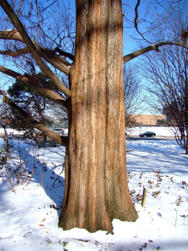 Chadwick Arboretum and Learning Gardens
The Ohio State University

Columbus, Ohio