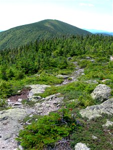 Carter Dome seen from Mt. Hight, NH, with Abies balsamea krummholz photo
