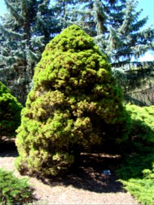 Chadwick Arboretum and Learning Gardens The Ohio State University Columbus, Ohio photo