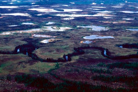 Image title: Treeless bogs interspersed with spruce Image from Public domain images website, http://www.public-domain-image.com/full-image/nature-landscapes-public-domain-images-pictures/national-park photo
