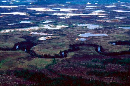 Image title: Treeless bogs interspersed with spruce
Image from Public domain images website, http://www.public-domain-image.com/full-image/nature-landscapes-public-domain-images-pictures/national-park