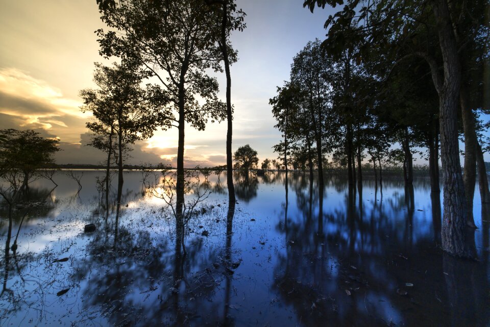 Background nice natural
