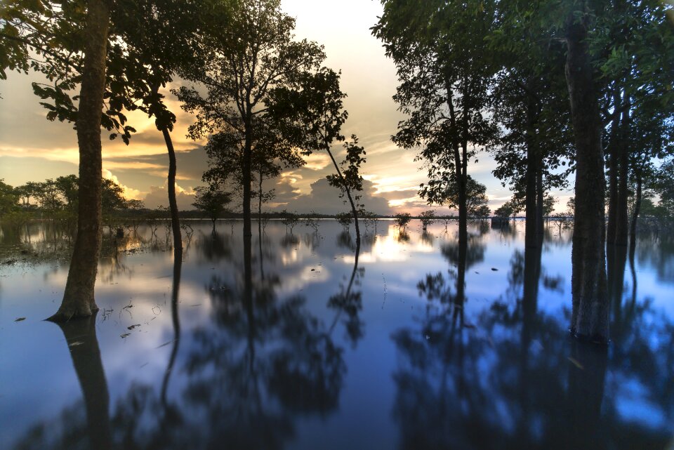 Background nice natural