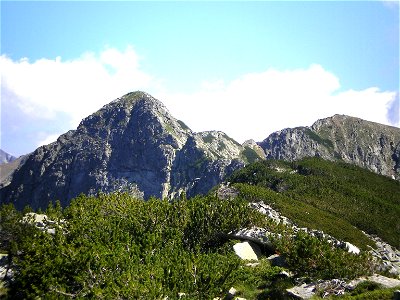 Vasilashki Chukar i Vazela, Pirin, Bulgaria. Shrubs in foreground are Pinus mugo. photo
