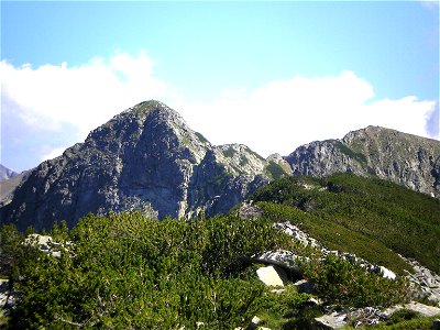 Vasilashki Chukar i Vazela, Pirin, Bulgaria. Shrubs in foreground are Pinus mugo.