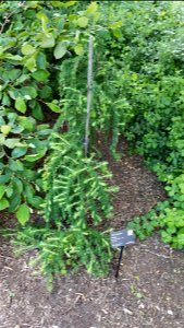 Chadwick Arboretum and Learning Gardens

Columbus, Ohio