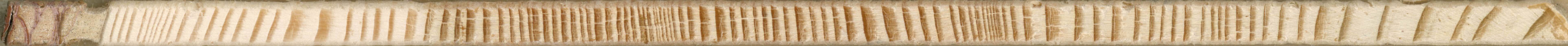 Tree rings of Larix decidua (European Larch). The sanded core shown, are taken by a 5 mm increment borer from a living larch growing in Dalarna, Sweden. The image was originally a part of a bigger ima
