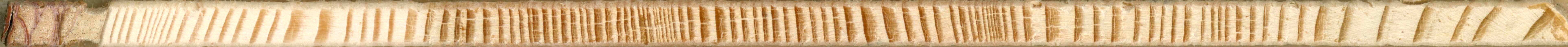 Tree rings of Larix decidua (European Larch). The sanded core shown, are taken by a 5 mm increment borer from a living larch growing in Dalarna, Sweden. The image was originally a part of a bigger ima