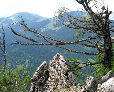 View towards Rožca (1587 m) Rosenbachsattel