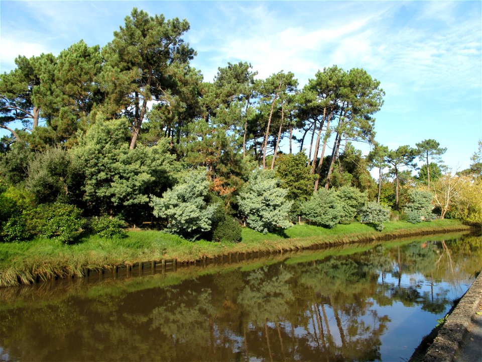 The Boudigau river in Capbreton (Landes, France) photo taken between the bridges of pont Lajus and pont de la Halle.