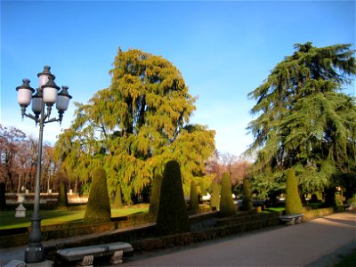 El Parterre, Parque del Buen Retiro, Madrid, Spain. I took this photograph.