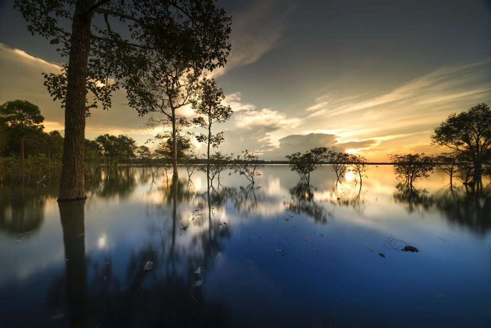 Background nice natural