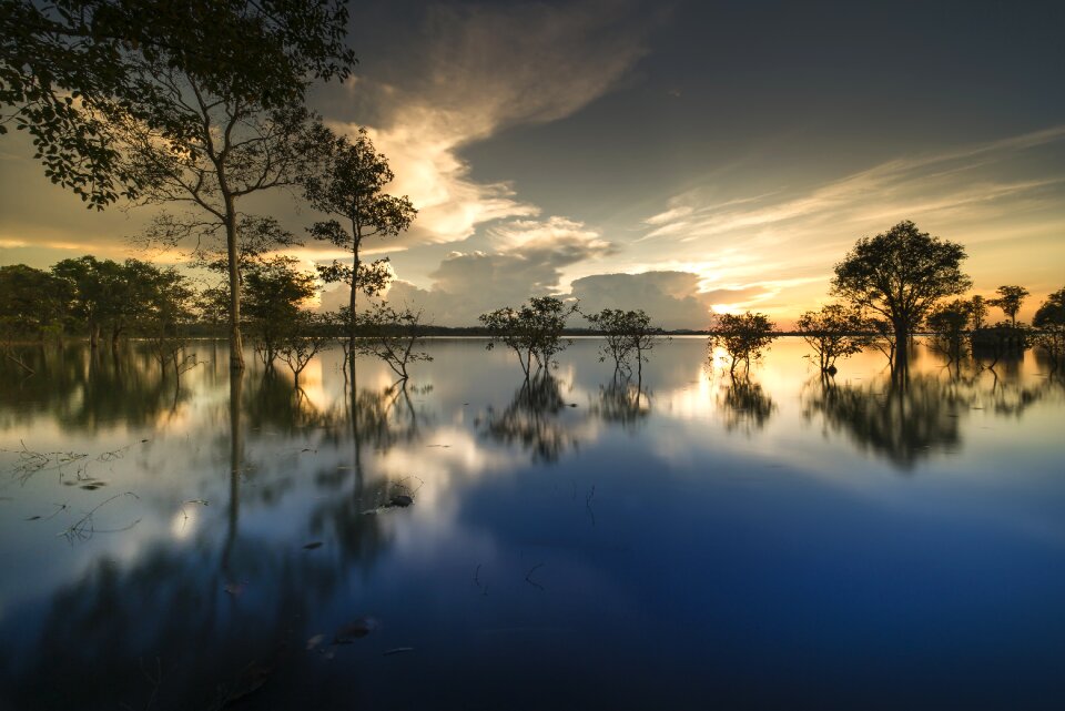 Background nice natural