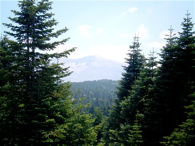 Sarıalan'dan bir görüntü. photo