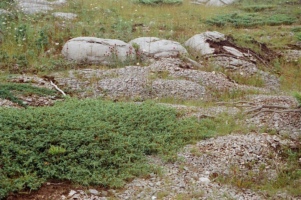 West coast of Newfoundland including Port au Port penensula, to Port aux Chois and Long Range Mountains. Stephenville and Corner Brook. Map location from google earth, approximate.