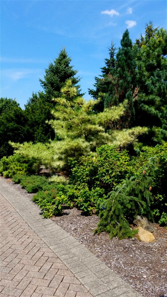 Chadwick Arboretum and Learning Gardens
The Ohio State University

Columbus, Ohio