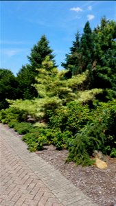 Chadwick Arboretum and Learning Gardens
The Ohio State University

Columbus, Ohio