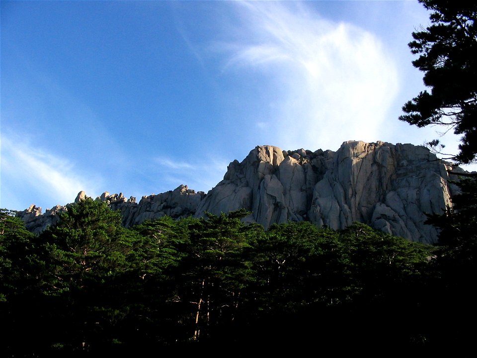 Ulsanbawi, Seoraksan. Trees are Pinus densiflora.