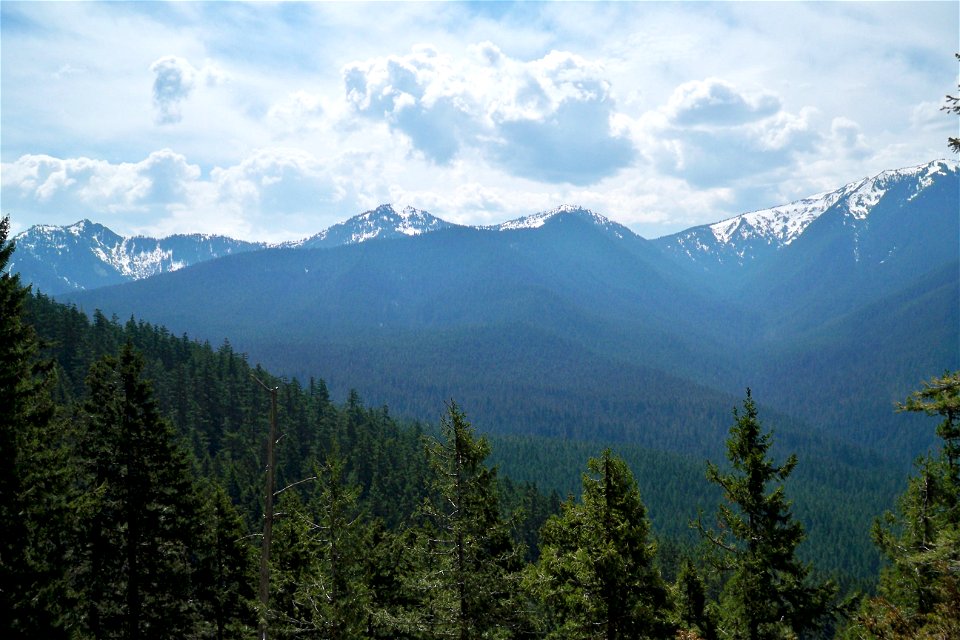 Cumbres del Ajusco National Park — in México, D.F.
Part of the Trans-Mexican Volcanic Belt — a principal volcanic mountain system in central México.
With Abies religiosa forest