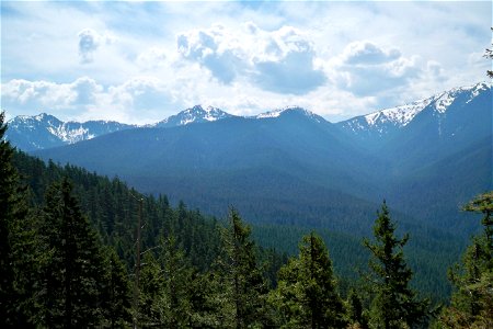 Cumbres del Ajusco National Park — in México, D.F. Part of the Trans-Mexican Volcanic Belt — a principal volcanic mountain system in central México. With Abies religiosa forest photo