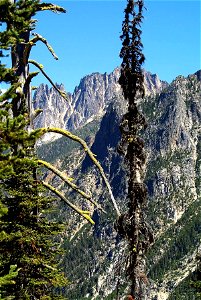 Image title: Tall Jagged mountains past trees Image from Public domain images website, http://www.public-domain-image.com/full-image/nature-landscapes-public-domain-images-pictures/mountain-public-dom photo