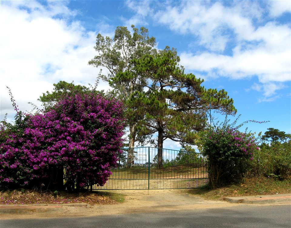 Dalat Palace Golf Club
