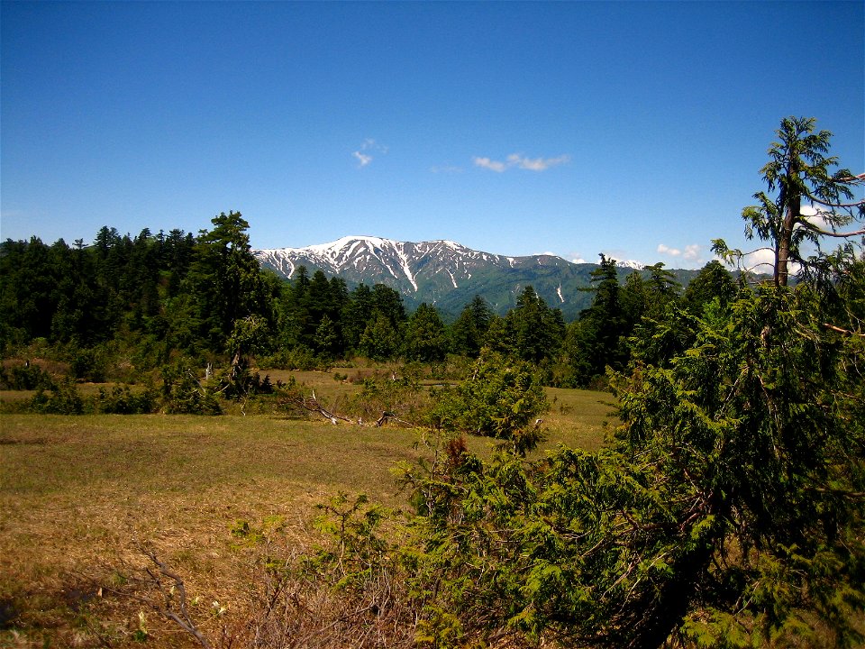A picture of mountains inside Oze National Park in Japan. Mixed conifer forest with (right foreground) Chamaecyparis pisifera. Picture was taken with a Canon Power Shot SD450 Digital Elph camera.