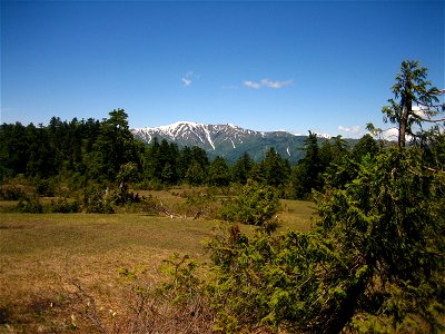 A picture of mountains inside Oze National Park in Japan. Mixed conifer forest with (right foreground) Chamaecyparis pisifera. Picture was taken with a Canon Power Shot SD450 Digital Elph camera.