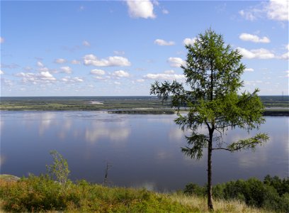 Река Лена в районе Табагинского мыса