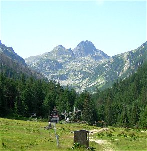 Malyovitsa peak, Rila Mountains, Bulgaria, from the north. Trees are mixed Pinus peuce and Picea abies.