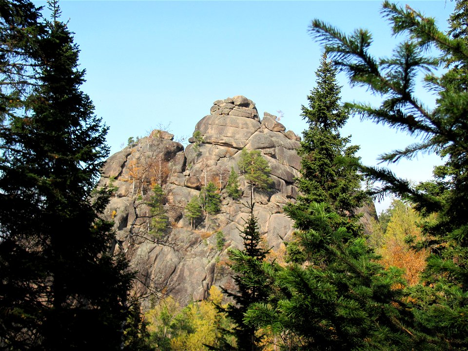 Rock "1 Stolb" in Stolby Nature Reserve, Krasnoyarsk, Russia. Abies sibirica trees and foliage in foreground.