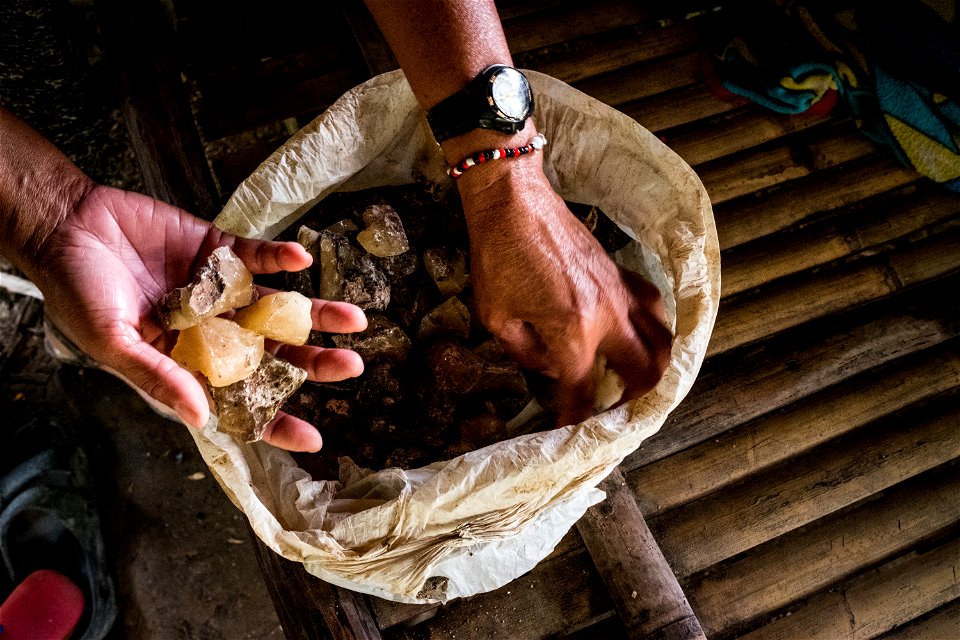 July 2017. Almacega (Agathis philippinensis) resin is one of the main non-timber forest products driving the local economy. Kayasan, Barangay Tagabinet, Palawan, Philippines. Photograph by Jason Houst