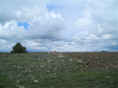 Paisaje de la paramera en el Parque Natural de las Hoces del Río Duratón.