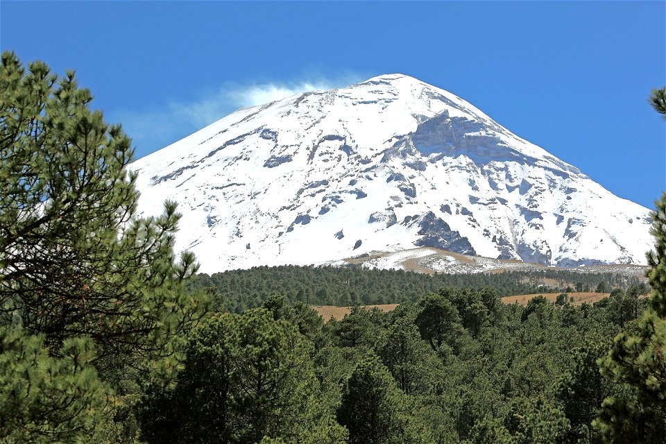 Volcán Popocatépetl en Febrero de 2010, with Pinus hartwegii forest in foreground