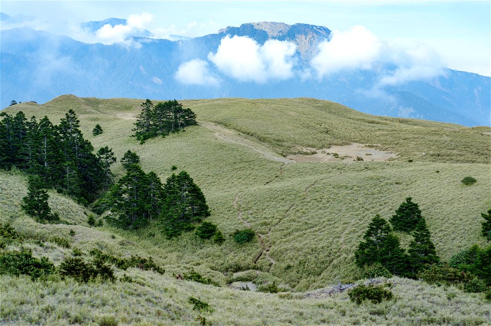 Campsite near Hehuan North Peak.