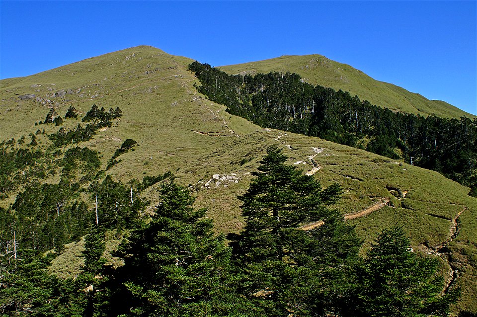 Chi Lai South Peak(奇萊南峰). Trees are Abies kawakamii.