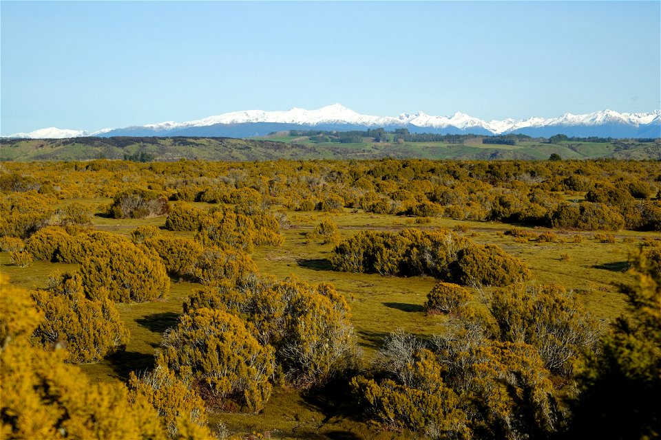 Wilderness Reserve with snow-covered mountains in the distance (Mt Titiroa, Hunter Mountains)