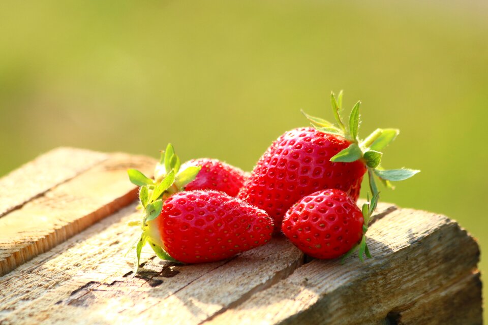 Mature garden cultivation