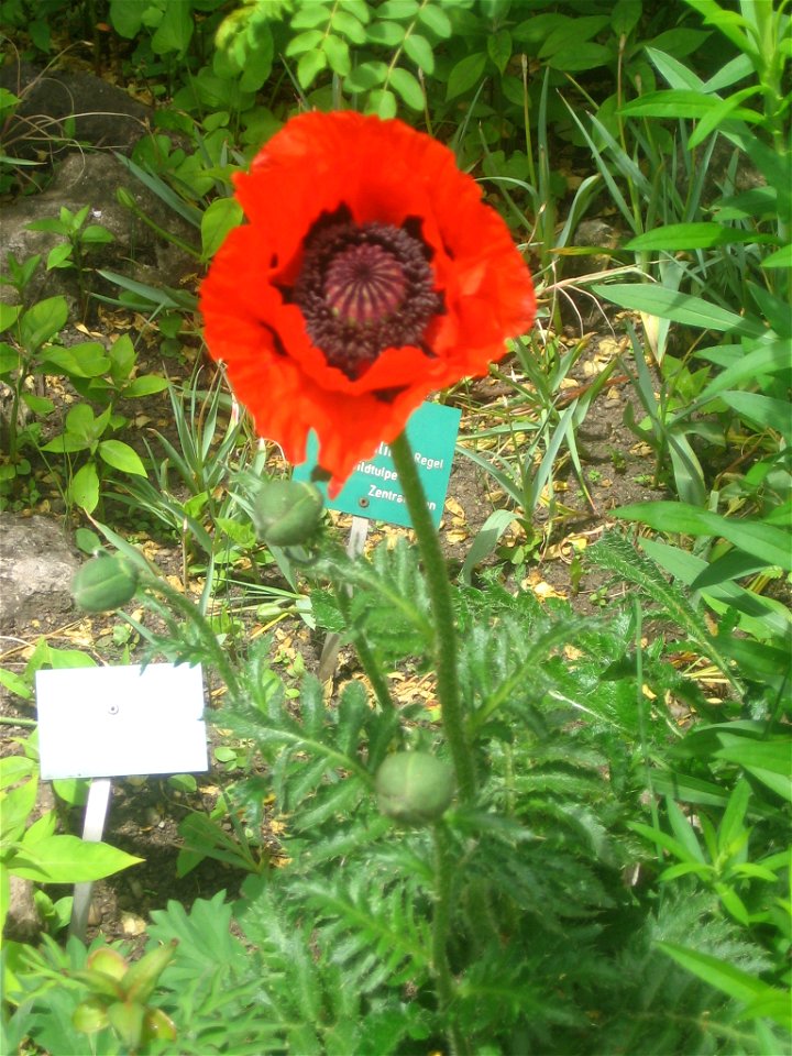 autor: Vladaig

my photo made with cannon A510
