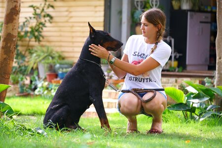 Dog lagy girl