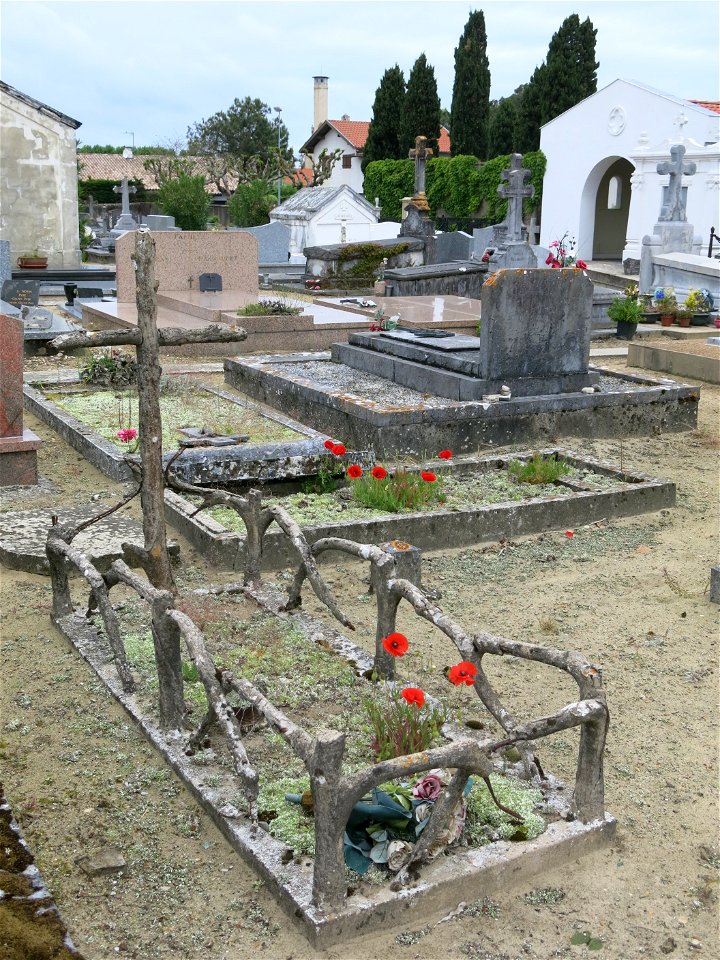 Red poppies on an abandoned grave in the old cemetery of Capbreton (Landes, France).