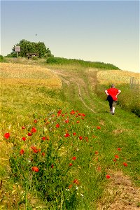 Landscape in Fischland, Mecklenburg-Vorpommern in Germany.