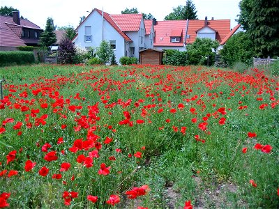 I took this image myself in germany in 2005