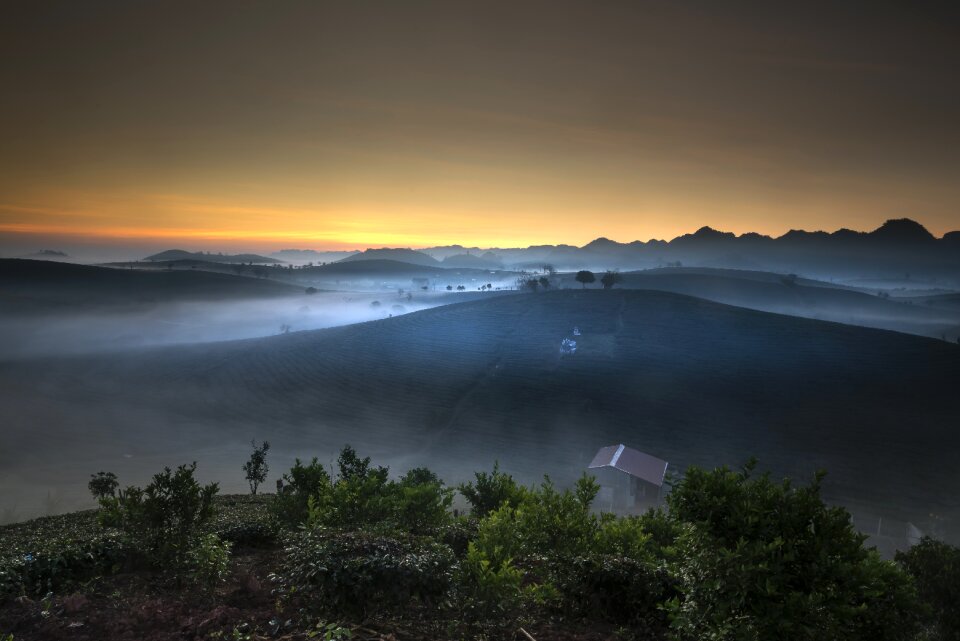Vietnam moc chau nice