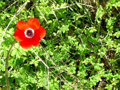 Photos taken near Bethlehem of Galilee